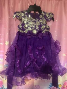 Girls Purple Party Dress with Gold Embroidery (EURO) 120 US 6/6x